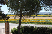 Foto dell'Agriturismo La Fonte