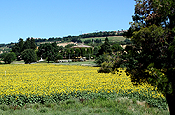 Foto dell'Agriturismo La Fonte