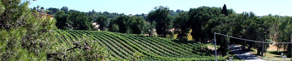 Azienda Agricola dell'Agriturismo La Fonte di Potenza Picena